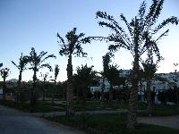 ��� ������ ����� 4