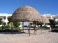 �� ���� ��� ��� �������.