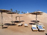 ������� �����.