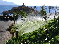 �� ������� - �� ��������.