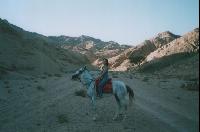 �� ������������ ������