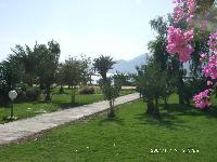 ������� ���� ����� (��������)