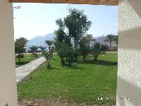 ������� ���� �����