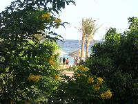 ��� � ������� (������, ���)