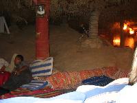 ���������� ���� � Sharks Bay