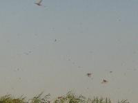 ��������� ������� � ���