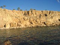 ��� ��������