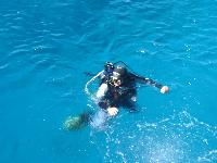 ���������� �� �������� � �������� "��������"