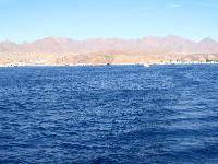 � ����� ����...