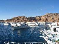 � ����� ����� ���