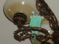 ��� ����������� �����