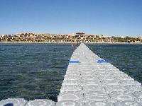 ���� ����� "������"