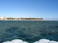 ��� �� ����� "������" (���) � �����