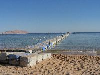 ���� ����� "������" (���)