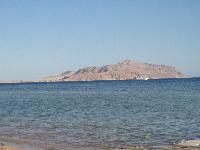 ������ �����