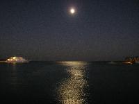 ���� �������