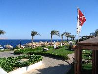 ��� �� �������-�����