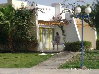 ������� ���� �����. ����� ������