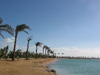 ������ � �����