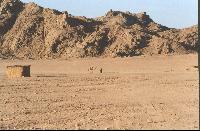 �������� �� �������