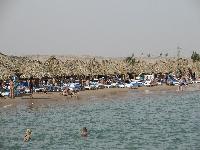 ��� �� ����