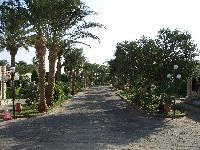 ������� �����