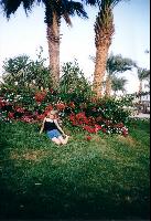 ����� ������