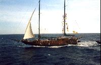 ׸���� ���������....