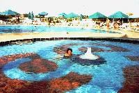 ����� "Golden 5"