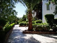 ������� � �������