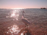 ���������� ������������� �����