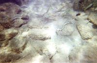 ׸ �� �����?