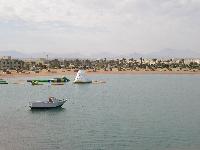 ����� ��� ����� � �������