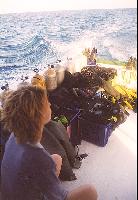 �����������