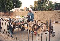 �������� �������