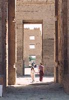 ������ �����...