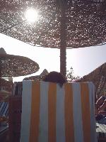 ��������� �� ������.....