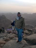 ���� ������