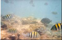 ����� �� ����.