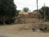 � �������