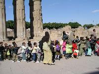 � ����������  �����