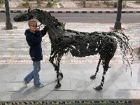 ����, ������ �����