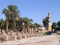 ���������� ����