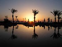 ������ ���