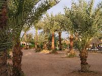 ���� ����� Hilton