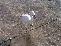 �����, ������� ������ ���� �� ����