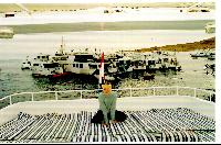 �� ���� ����� "��� �����"