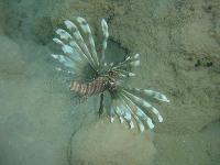 �������������