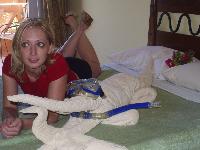 � ������