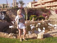 ����-�������